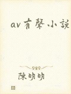 av有声小说