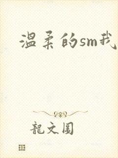 温柔的sm我封面