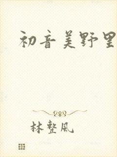 初音美野里封面