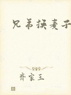 兄弟换麦子4封面