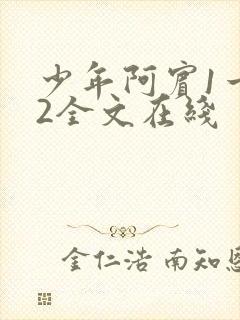 少年阿宾1一72全文在线