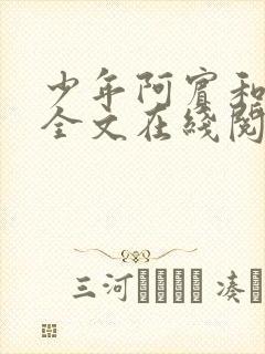 少年阿宾和房东全文在线阅读