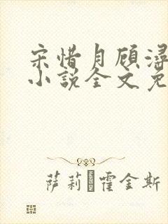 宋惜月顾浔渊的小说全文免费阅读