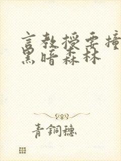 言教授要撞坏了黑暗森林