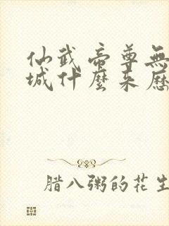 仙武帝尊无泪之城什么来历