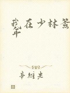 我在少林签到万年封面