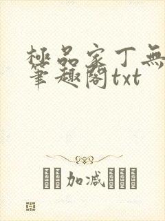 极品家丁无删节笔趣阁txt