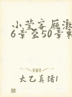 小莹客厅激情46章至50章软件介绍
