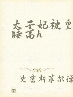 太子妃被皇上强睡高h封面