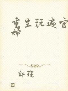 重生玩遍官场贵妇