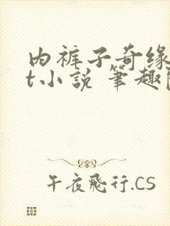 内裤子奇缘txt小说 笔趣阁