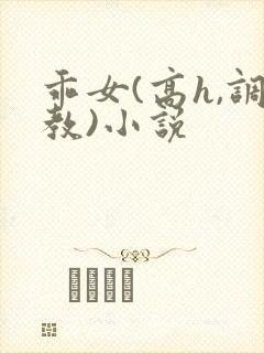 乖女(高h,调教)小说