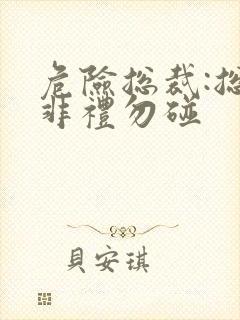 危险总裁:总裁非礼勿碰封面