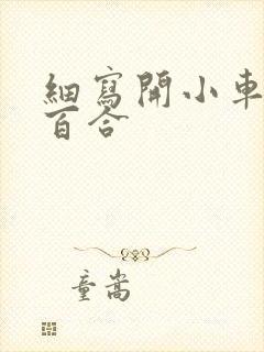 细写开小车车的百合