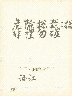 危险总裁:总裁非礼勿碰封面