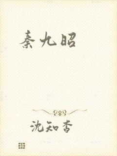秦九昭封面