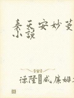 秦天安妙菱修仙小说