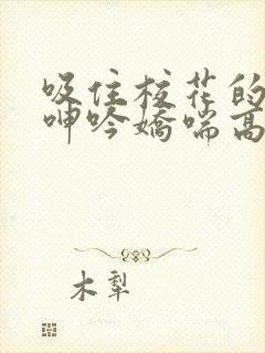 吸住校花的奶头呻吟娇喘高潮小说