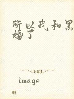 所以我和黑粉结婚了封面
