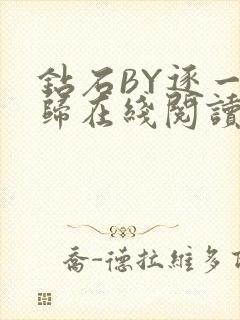 钻石BY逐一而归在线阅读