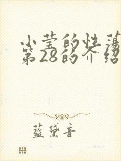 小莹的性荡生活第28的介绍封面