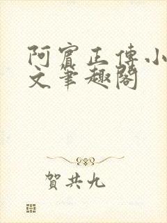 阿宾正传小说全文笔趣阁