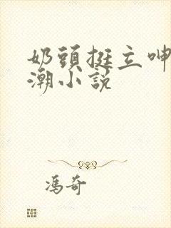 奶头挺立呻吟高潮小说封面