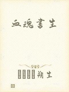血魂书生封面