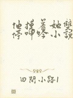 他摸着她双乳不停呻吟小说