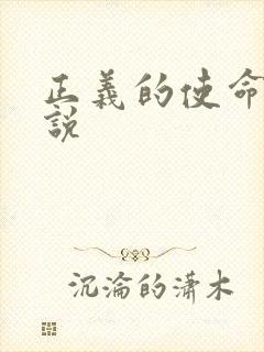 正义的使命 小说