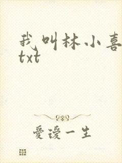 我叫林小喜小说txt