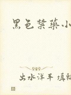 黑色禁药小说