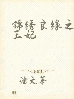 锦绣良缘之北地王妃封面