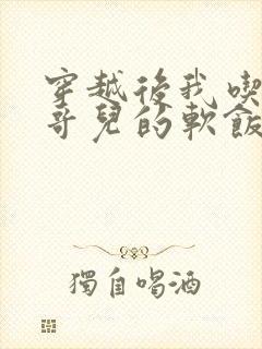 穿越后我吃到了哥儿的软饭炉山灰封面