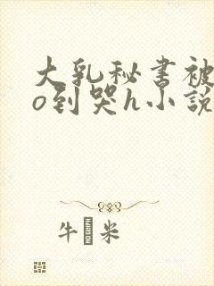 大乳秘书被cao到哭h小说封面