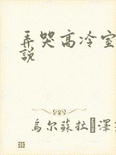 弄哭高冷室友小说
