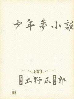少年梦小说