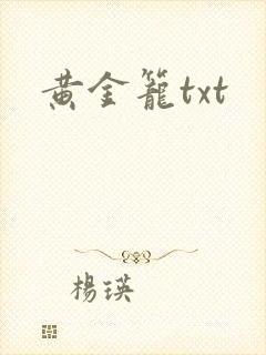 黄金笼txt