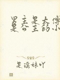 男主是太傅女主是公主的小说