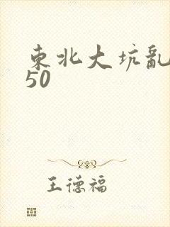 东北大坑乱1—50