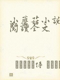 小蘑菇小说免费阅读全文