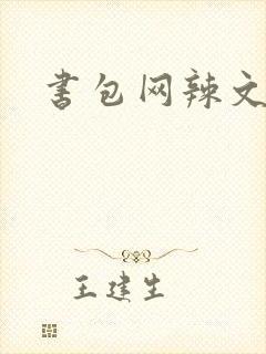 书包网辣文合集