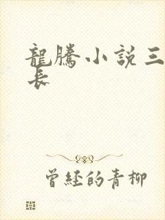 龙腾小说三宝局长