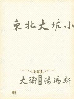 东北大坑小说