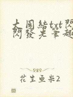 大团结txt闪闪发光笔趣阁