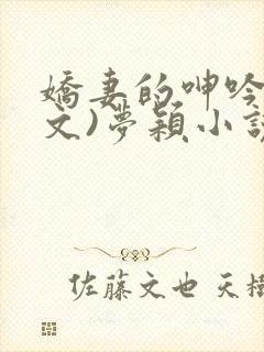 娇妻的呻吟(辣文)梦颖小说网