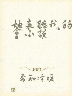 她来听我的演唱会小说