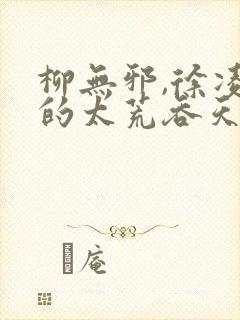 柳无邪,徐凌雪的太荒吞天诀封面