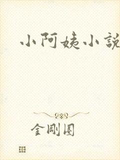 小阿姨小说