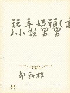 玩弄奶头(高h)小说男男